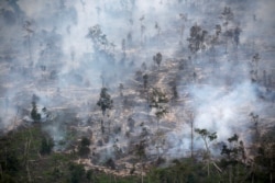 Asap menutupi hutan saat kebakaran di Kabupaten Kapuas dekat Palangka Raya di Kalimantan Tengah, 30 September 2019. (Foto: REUTERS/Willy Kurniawan)