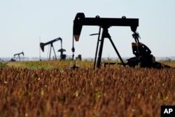 FILE - Pumpjack di ladang milo, dekat Hays, Kan., 30 September 2024. (Charlie Riedel/AP)