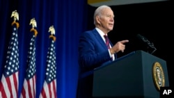 Biden Guns