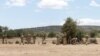  Kenya Police: 3 Arrested Trying to Enter British Army Camp