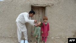 درسال گذشته ۲۰۱۵ میلادی ۱۹ واقعه مثبت پولیو در افغانستان شناسایی شده است.
