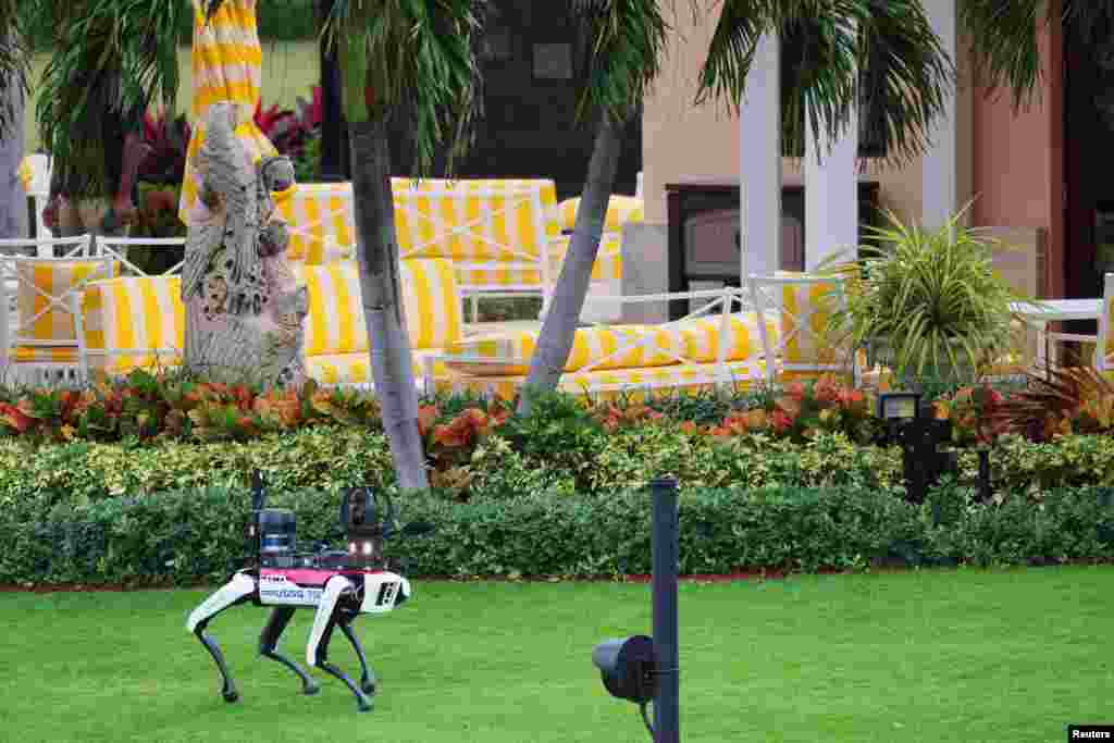 A Secret Service robot dog patrols the grounds of U.S. President-elect Donald Trump's residence at Mar-a-Lago in Palm Beach, Florida.