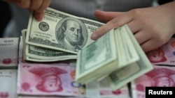 中国的一位银行出纳员在一堆人民币百元大钞上清点美元