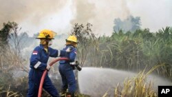 Petugas pemadam kebakaran berusaha memadamkan api di hutan Pekanbaru, Riau (27/2).