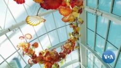 英语视频：令人眼花缭乱的玻璃艺术展