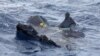 魚鷹機發生致命事故後 日本要求美軍暫時停飛