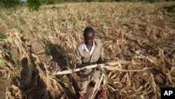 Southern Africa Drought and Hunger