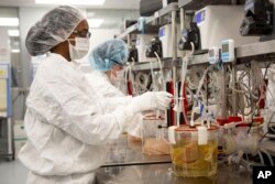Bioengineered Organs