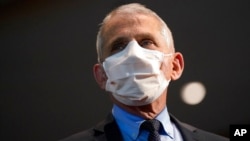 Dr. Anthony Fauci, pakar penyakit menular AS