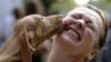 Dogs Remember Like Humans