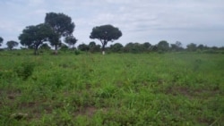 Crise agrícola em Benguela – 2:05