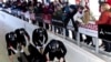 US Men's Olympic bobsled team