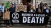 UN: Humans Put 1 Million Species at Risk of Extinction