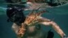 The documentary ‘My Octopus Teacher’ chronicles how filmmaker Craig Foster studies and learns from a female cephalopod. 
