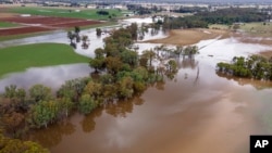 Farm land is flooded near Bendigo, Australia, Jan. 8, 2024. Hundreds of people were ordered to evacuate their homes after parts of Victoria state were inundated by flooding as wild weather continues to batter Australia's east coast. 