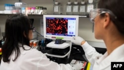 Dr. Sonia Macieiewski (R) and Dr. Nita Patel, Director of Antibody discovery and Vaccine development, look at a sample of a respiratory virus at Novavax labs in Rockville, Maryland, March 20, 2020, one of the labs developing a vaccine for the coronavirus.