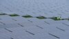 美议员拟通过停止太阳能关税豁免法案，白宫表示拜登总统将予以否决
