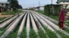 Nigeria Moves Closer to Turning Long-awaited Oil Bill Into Law
