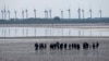 Energy Crunch Prompts Questions About Net Zero Promises