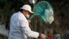 China Reports Two More Bird Flu Cases
