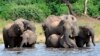 Southern African nations wary as UK’s Labor Party commits to hunting trophy ban