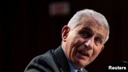 FILE - Dr. Anthony Fauci, Director at the National Institute of Allergy and Infectious Diseases speaks at a Senate hearing in Washington, March 18, 2021.
