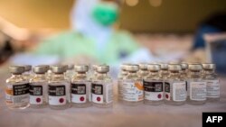Sinovac Covid-19 coronavirus vaccine.