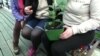 利用植物为手机充电