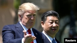 美國總統川普 (左) 與中國國家主席習近平 (右)