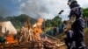 Cameroon Ivory Bust Reveals Maritime Trafficking Route