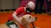 Therapy Dogs Help Patients In Hospital Intensive Care Unit