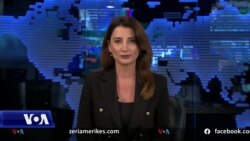 Ditari - Amb. Hovenier: Grupi i armatosur në veri, i organizuar dhe i stërvitur 