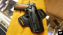 Poll Gun Rights