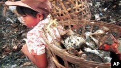 Seorang anak bekerja di tempat pembuangan sampah Bantar Gebang, Jakarta (Foto: dok)