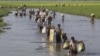 US: Myanmar Military Responsible for Atrocities Against Rohingya 