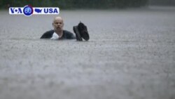 Manchetes Americanas 20 Setembro 2019: Protestos a favor da Terra