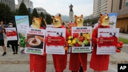 Aktivis vegetarian Korea Selatan mengenakan topeng anjing menggelar unjuk rasa menentang budaya Korea Selatan memakan daging anjing di Seoul, Korea Selatan, Kamis, 16 Juli 2020. (Foto: AP)
