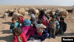 آوارگان سوری رقه را ترک کرده اند