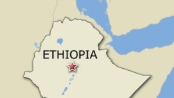 ካማሺ ውስጥ ትምህርት እንደገና ተጀመረ