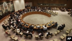 U.N. Security Council