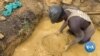 Some Zimbabweans Affected by Cyclone Turn to Beekeeping for Survival