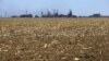 A dry maize field near Vanderbijlpark outside Johannesburg, South Africa, Oct. 1, 2015. Poor rains are forecast for the country's maize belt because of the El Nino weather pattern, expected to bring more drought to already-parched southern regions in Africa and potential flooding in the east. 