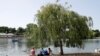 Planting Trees to Mitigate Global Warming