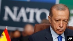 رجب طیب اردوغان، رئیس‌جمهوری ترکیه