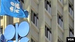 OPEC memperkirakan permintaan minyak global untuk tahun 2012 sekitar 89 juta barel per hari.