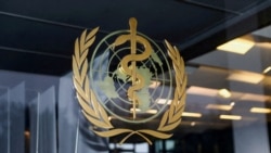 拜登總統將美國幫助台灣參加世衛大會議案簽署成法