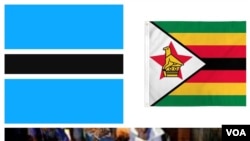Zimbabweans in Botswana