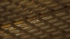 Coklat Baik Untuk Kesehatan: Regulator Uni Eropa