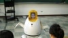 Tak Ada Penutur Asli, Robot pun Jadi