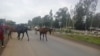 ከተማ ወሊሶ